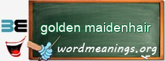 WordMeaning blackboard for golden maidenhair